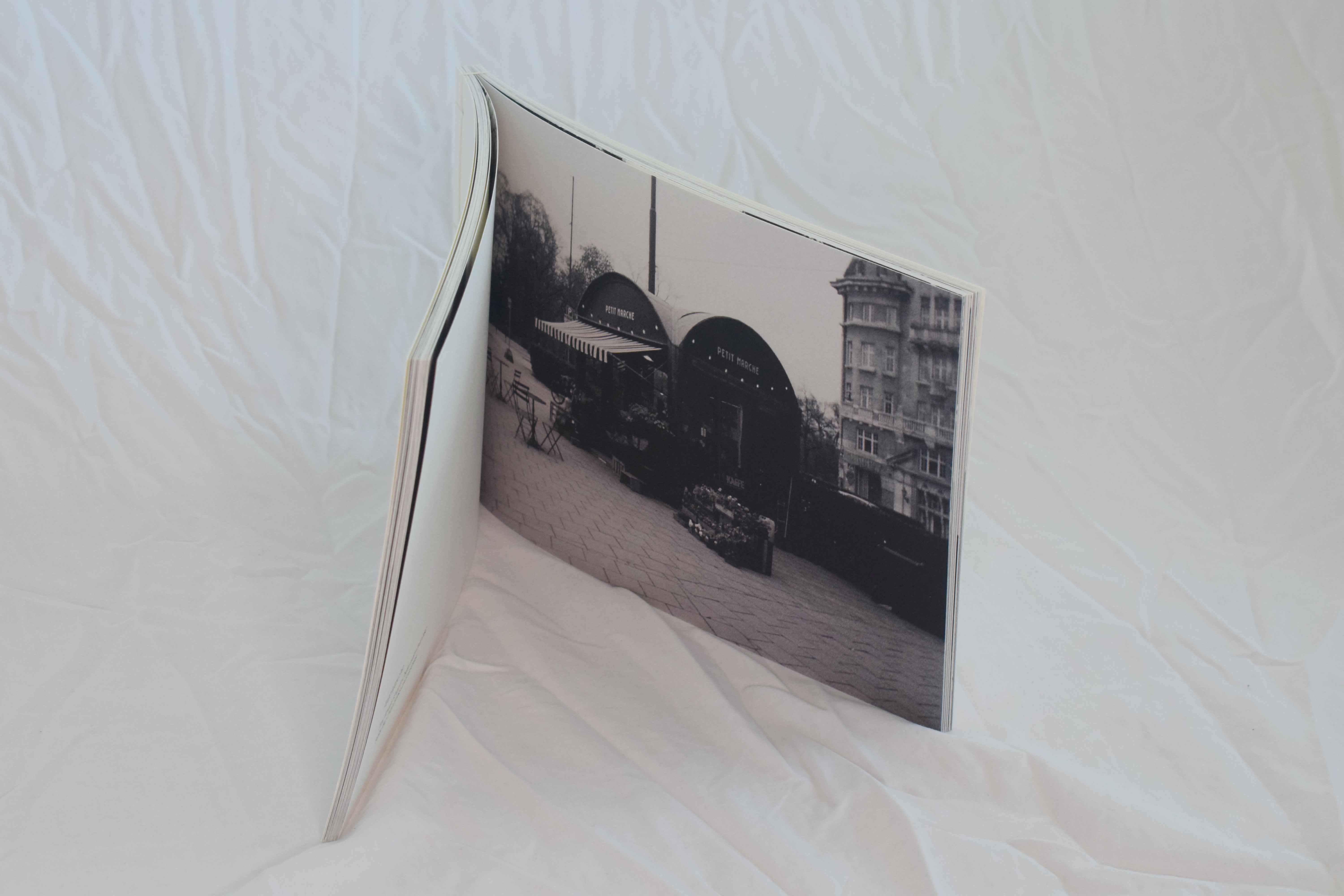 Alisa Venelinova project image